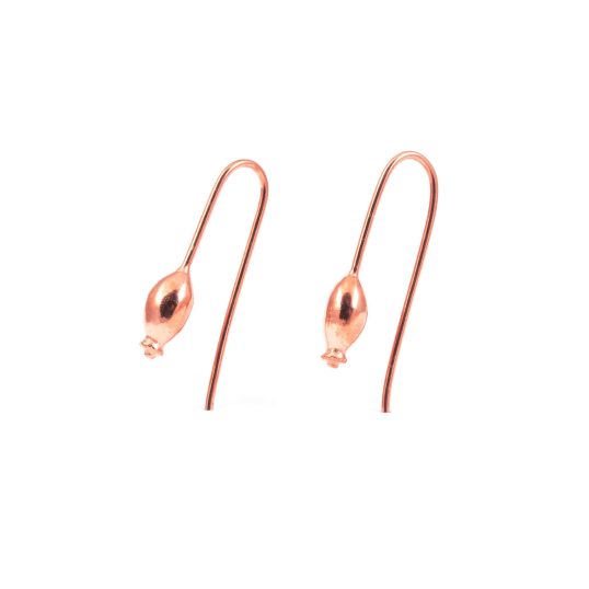 rose hip earrings