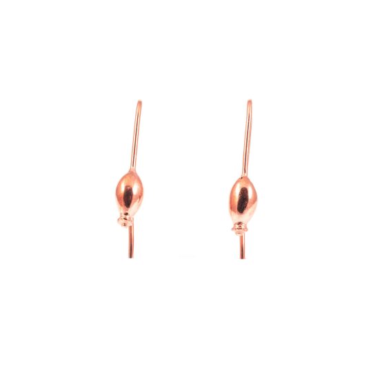 rose hip earrings